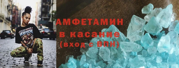 гидра Грязи