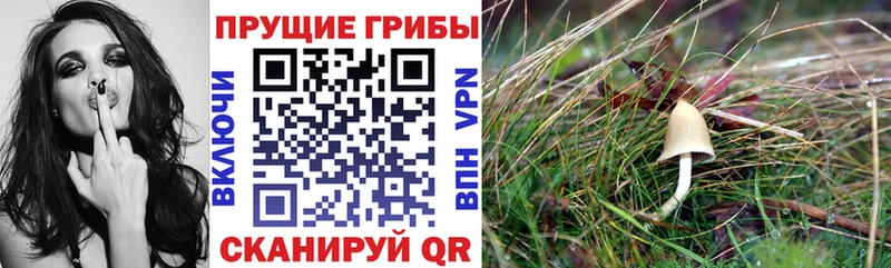 Галлюциногенные грибы ЛСД  купить наркотик  Лосино-Петровский 