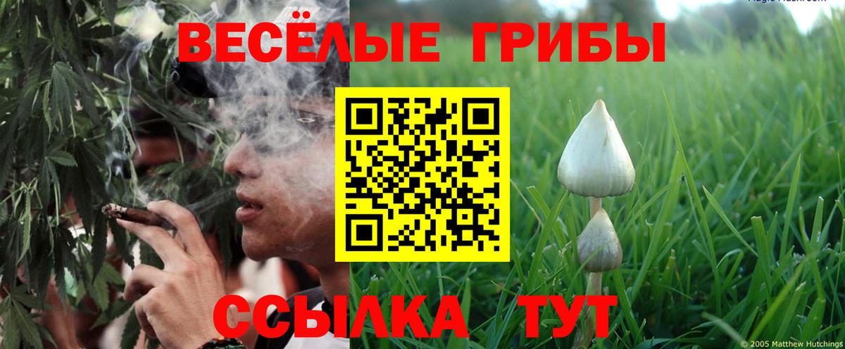 Галлюциногенные грибы MAGIC MUSHROOMS Лосино-Петровский
