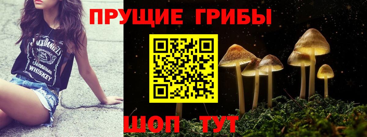 Галлюциногенные грибы Psilocybine cubensis  Псилоцибиновые грибы MAGIC MUSHROOMS  Вход с VPN  Лосино-Петровский 